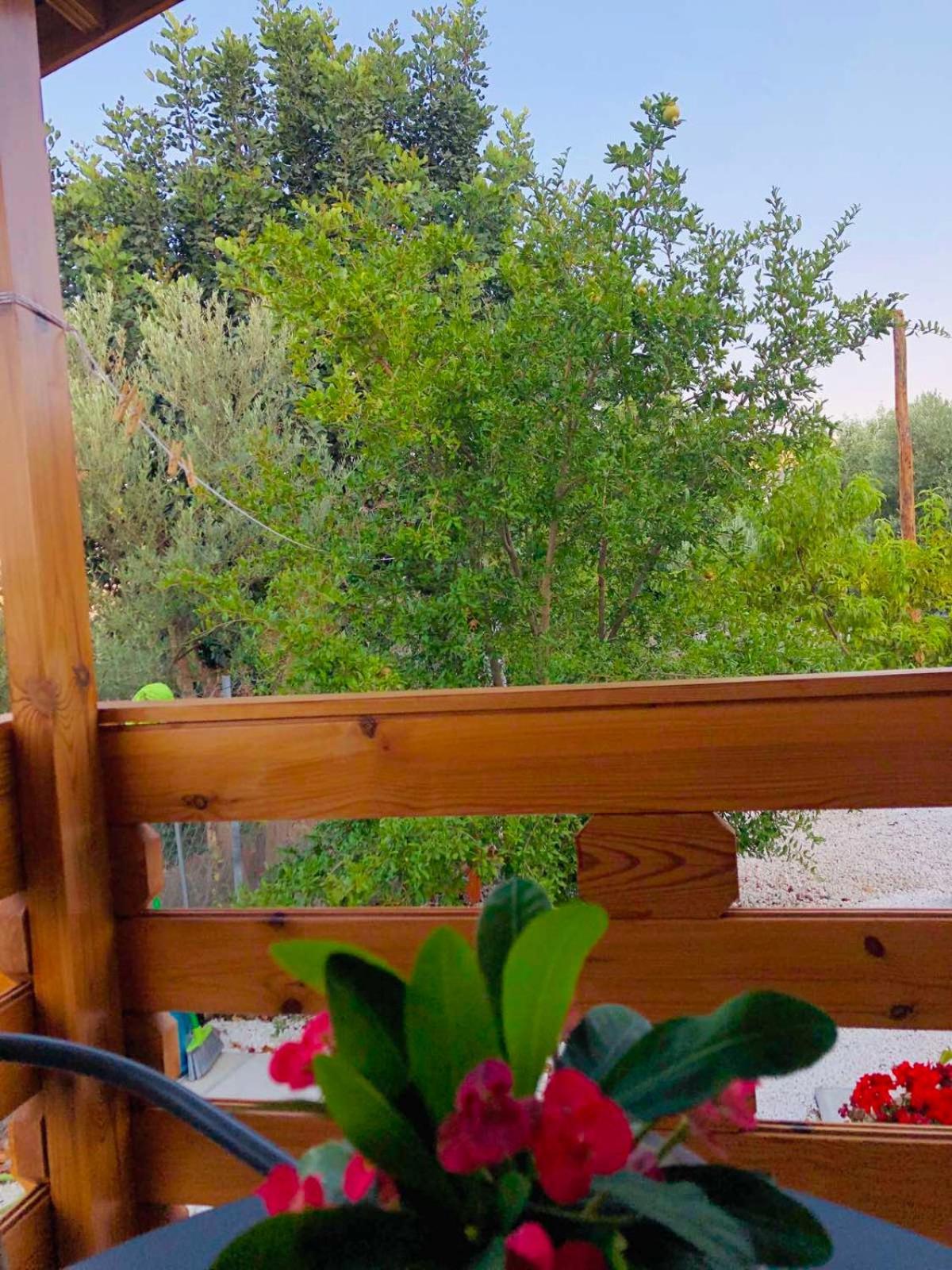 Happy Glamping Cy * Agios Theodoros