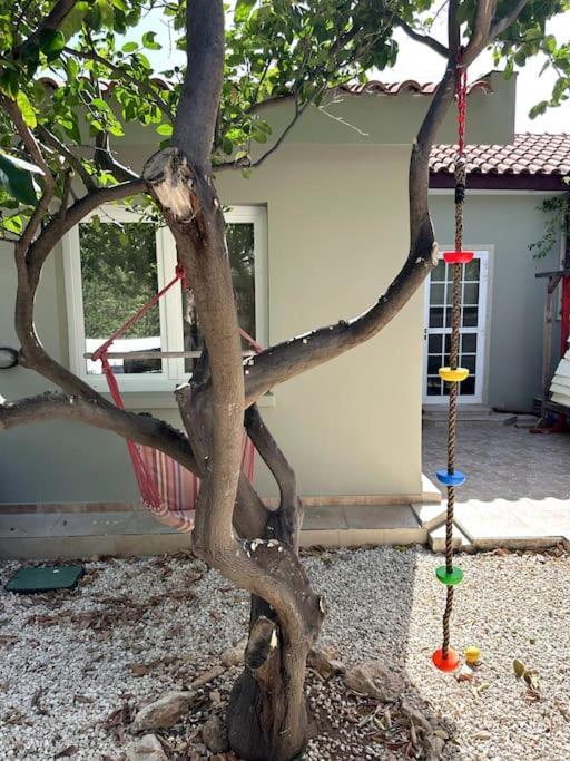 Family With Large Garden Pissouri