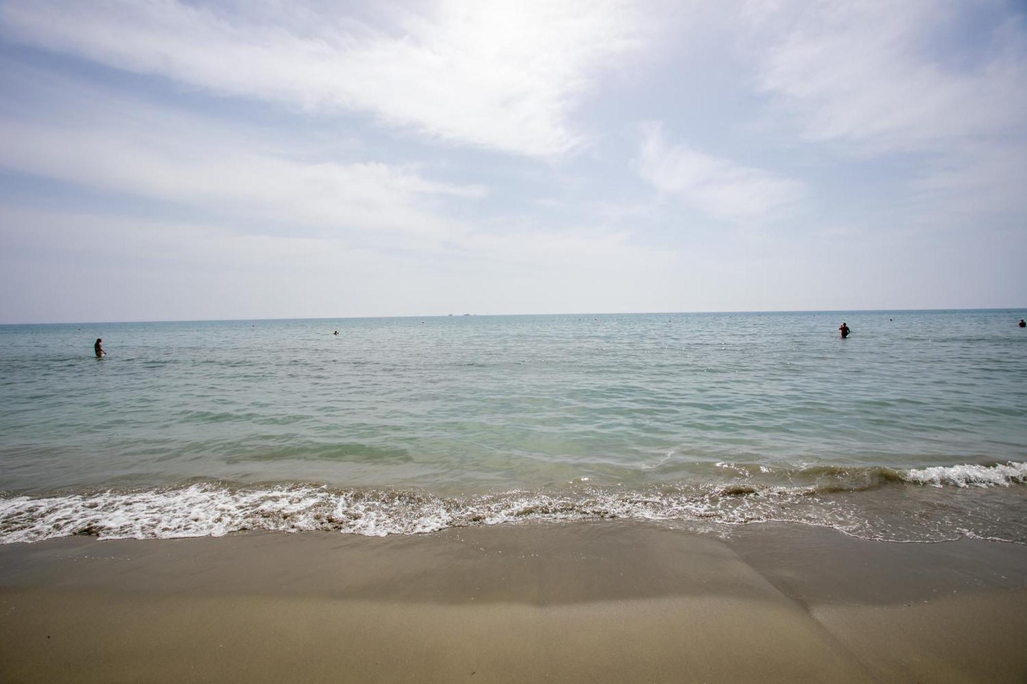 Apartment Palmove Luxurious Beachfront