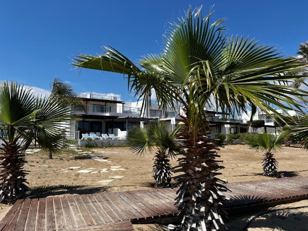Apartment Spacious Beachfront Two-bedroom In Caesar Boghaz