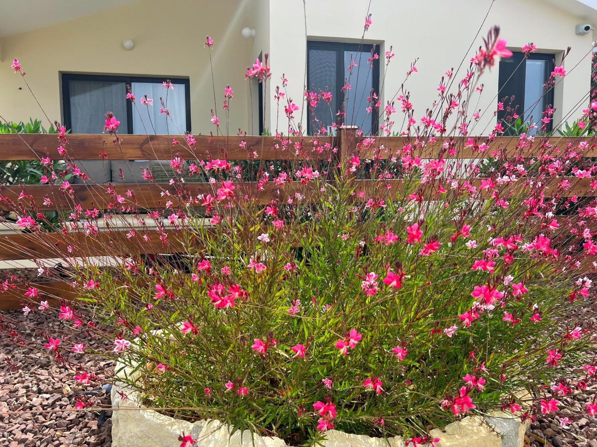 Pleiades - Sea Views, Private Pool & Hot Tub
