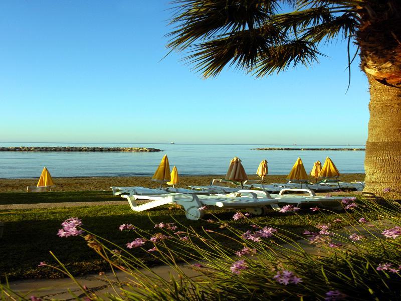 Resort Palm & 4*