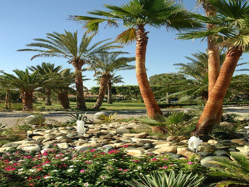 Palm & Resort Larnaca