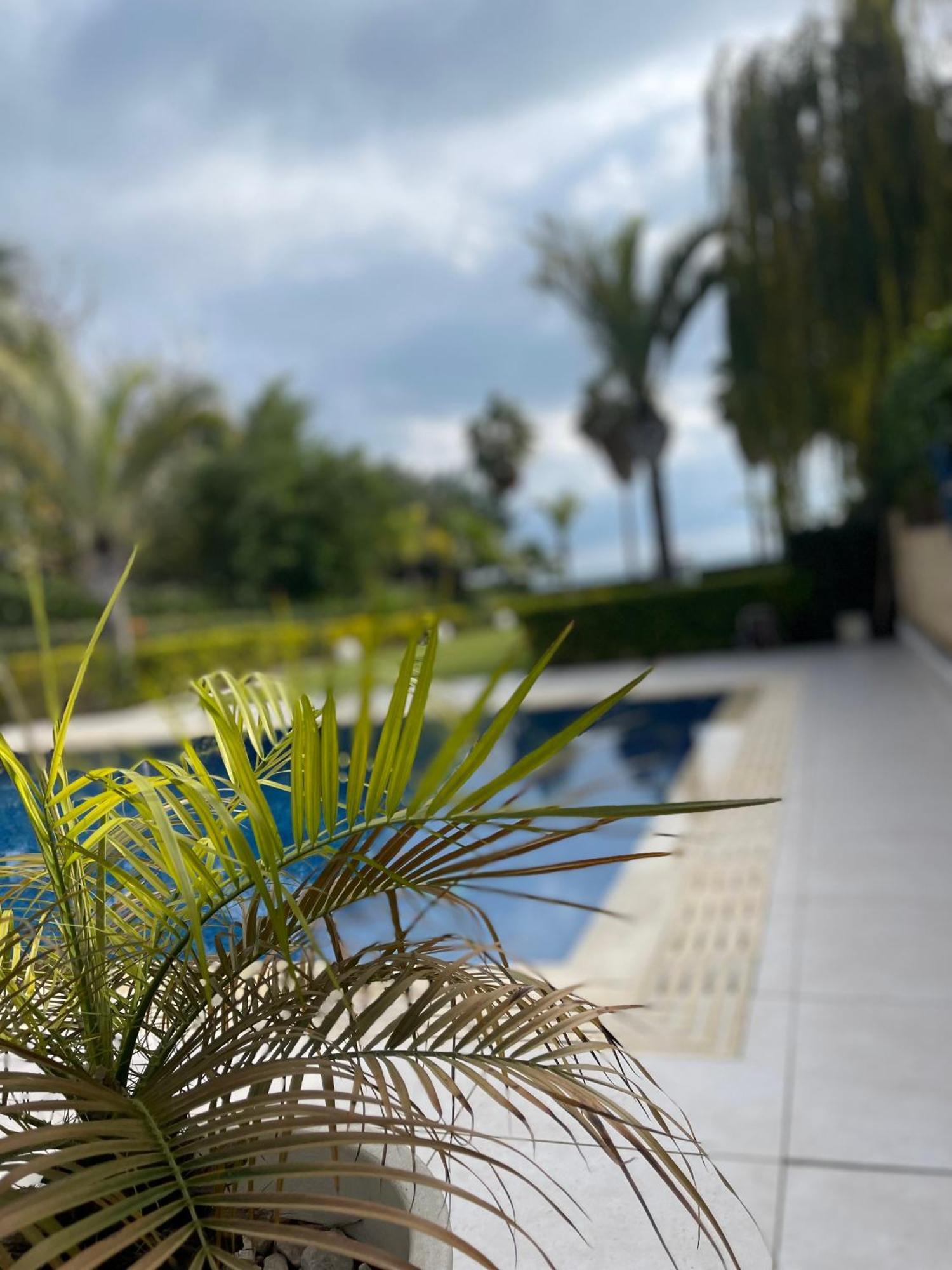 Serenity Mediterranean Villa *