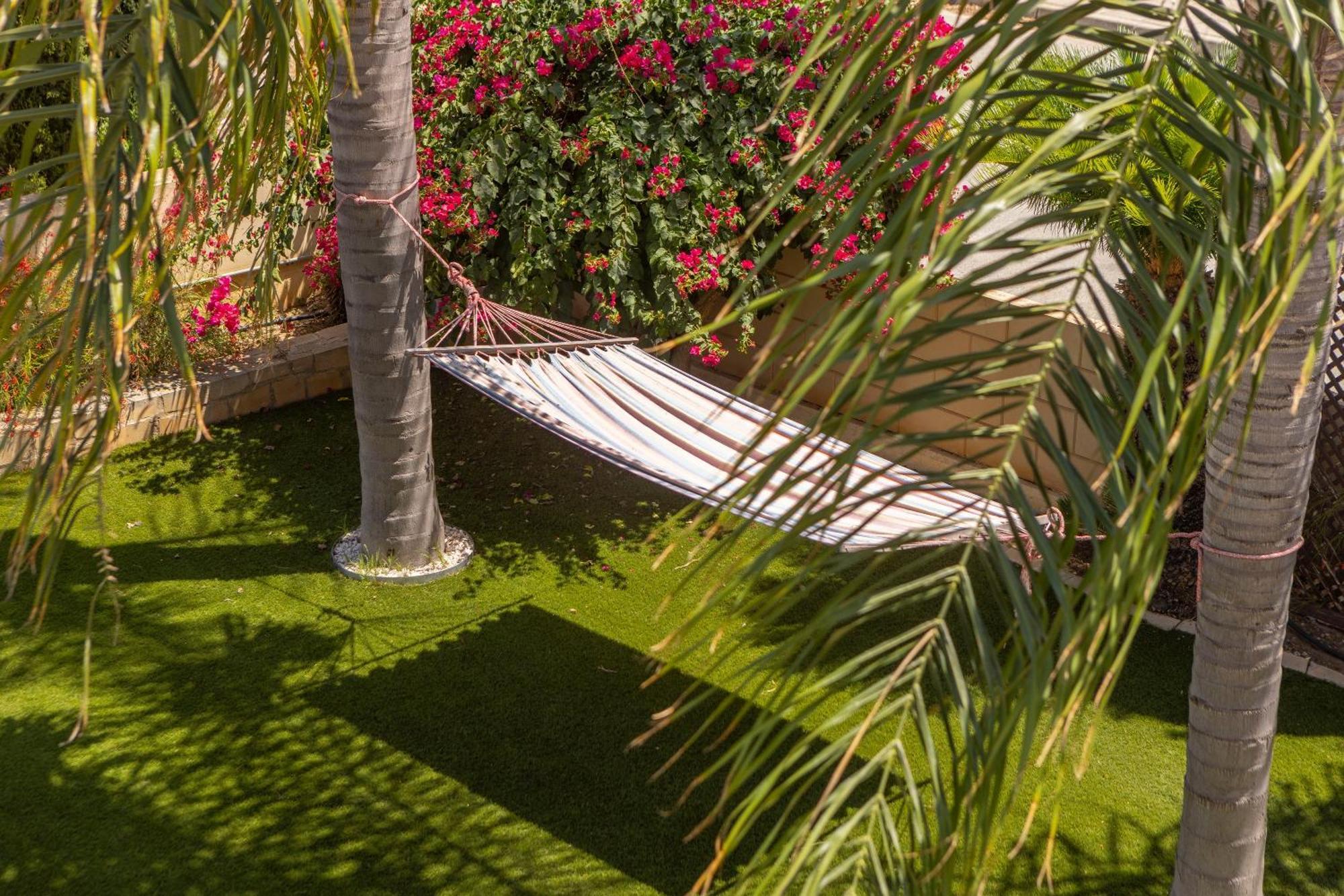 Chelidonia Larnaca Seafront Villa *