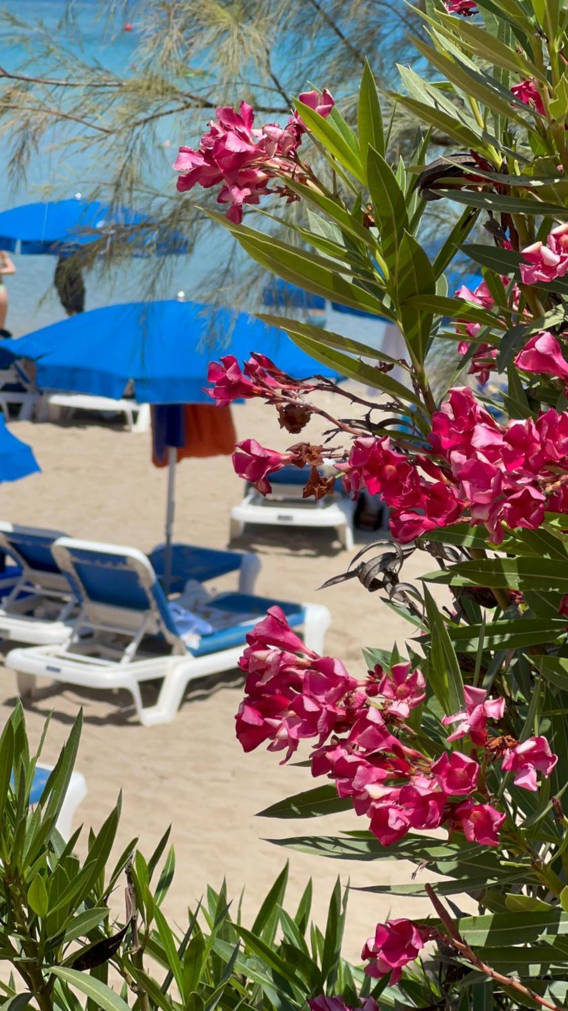 Hotel Adelais Bay Protaras