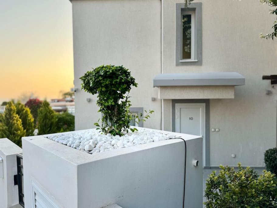 Appartement Valendra Peyia