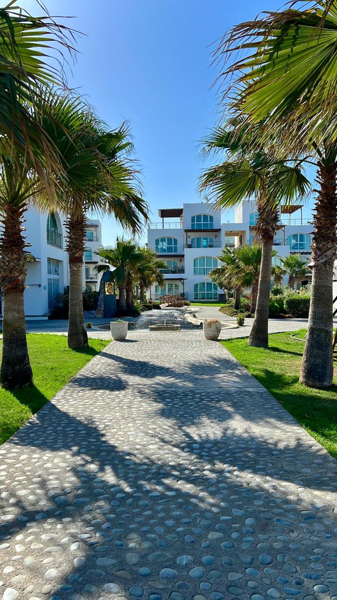 Apartment Aphrodite Beachfront