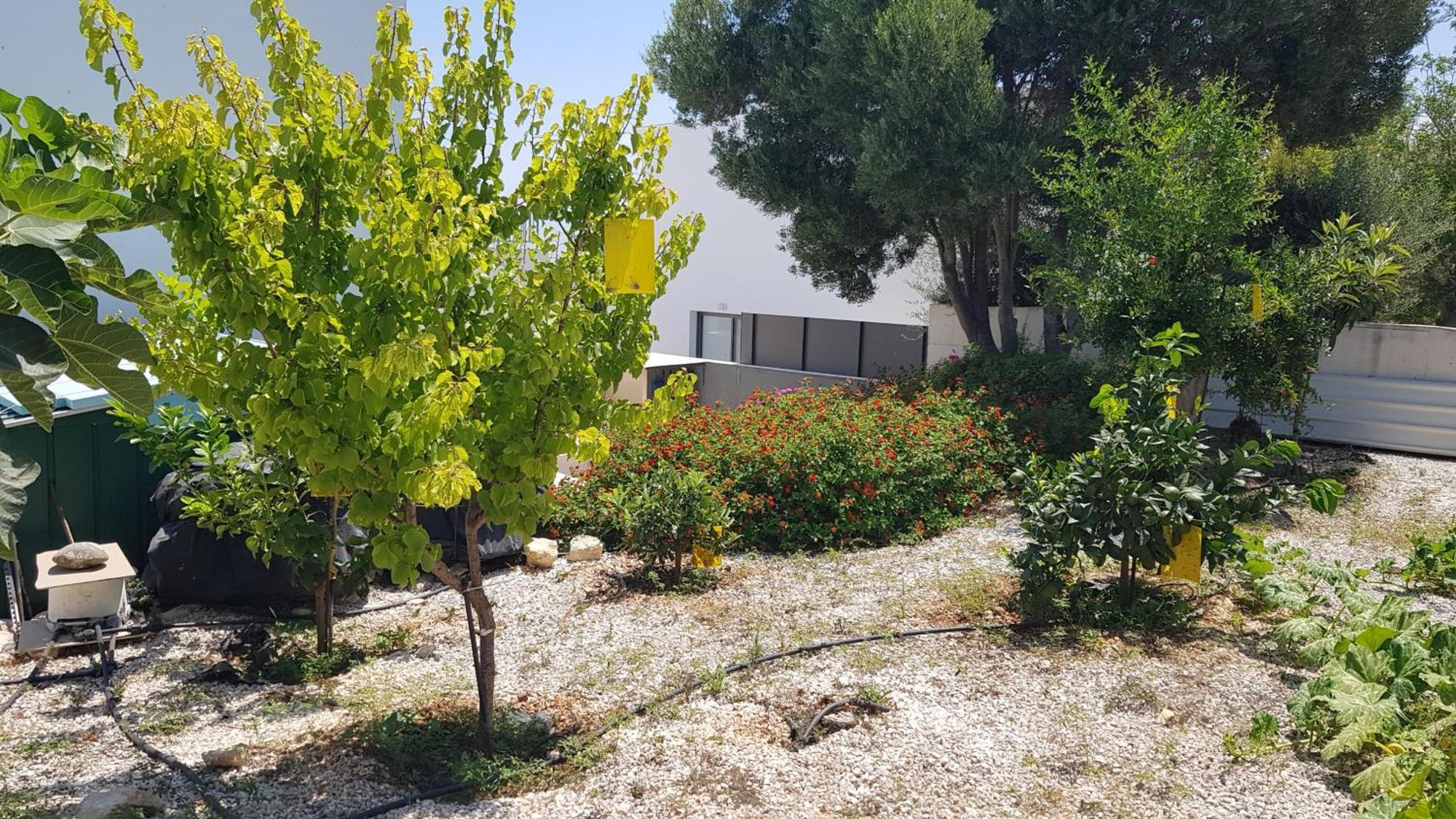 Lenia's Sea View Villa Neo Chorio