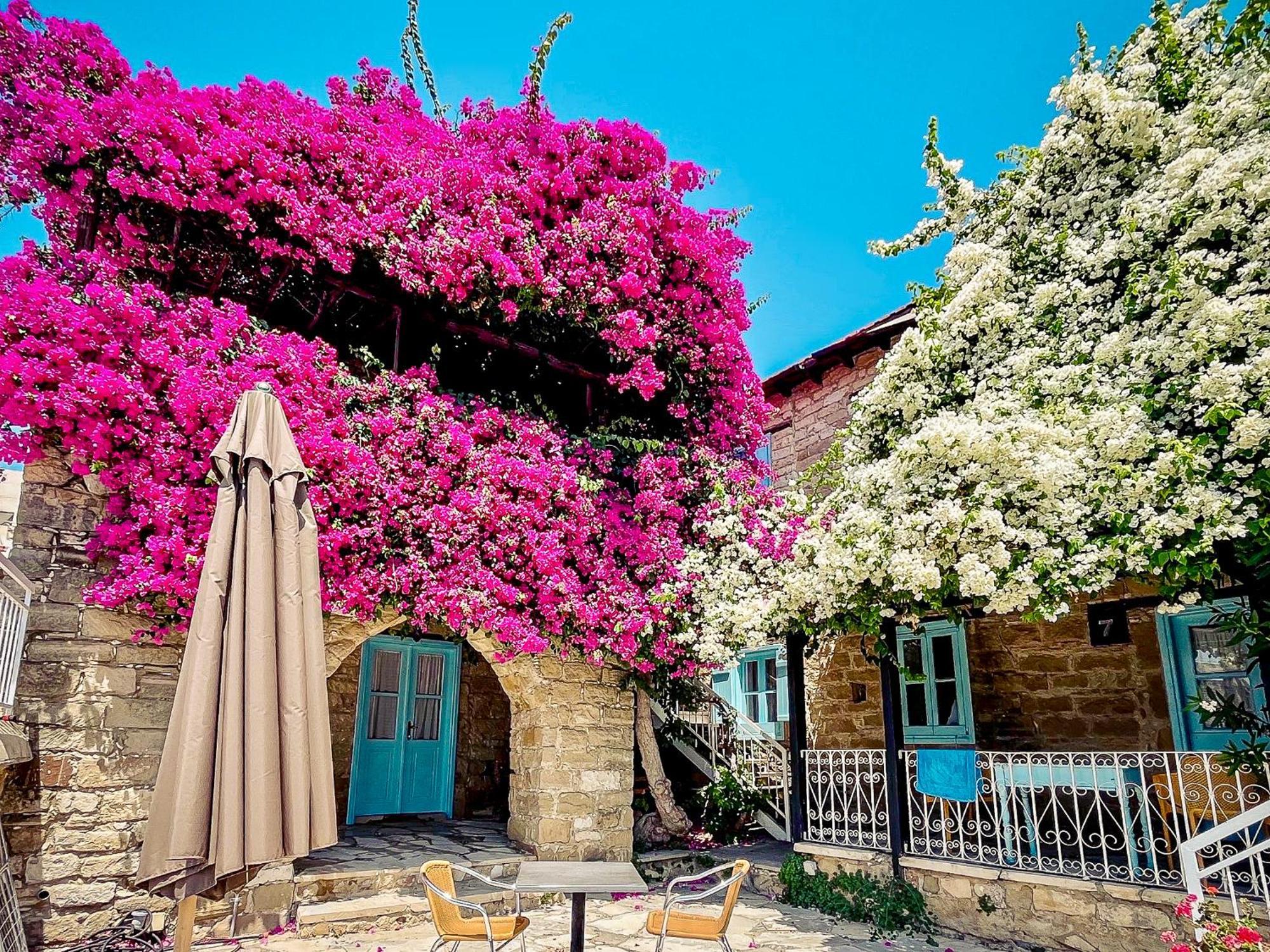 Cyprus Villages & Restaurant - Location - - With Access To Pool And Stunning Views