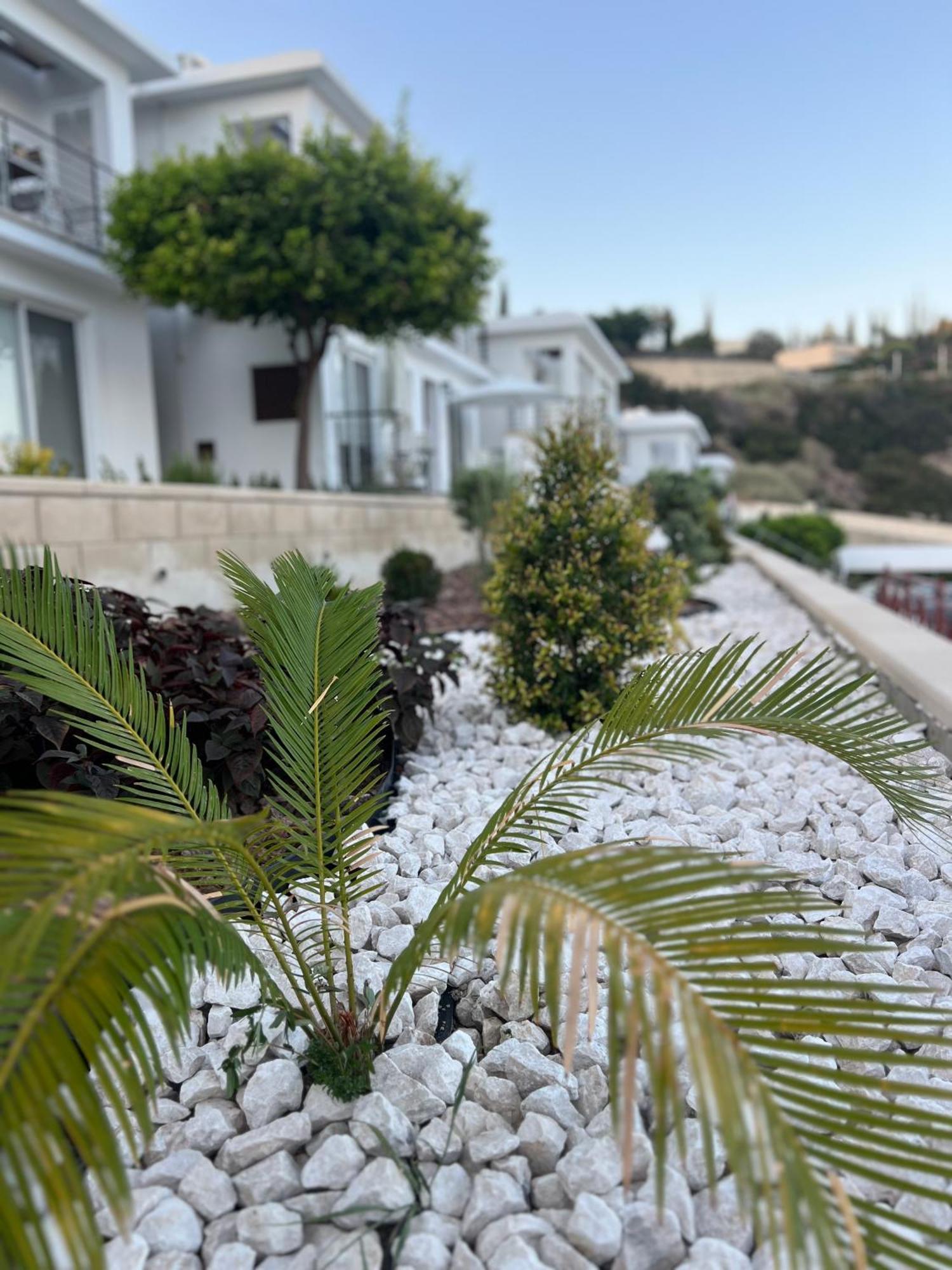 Apartamento Image Pissouri