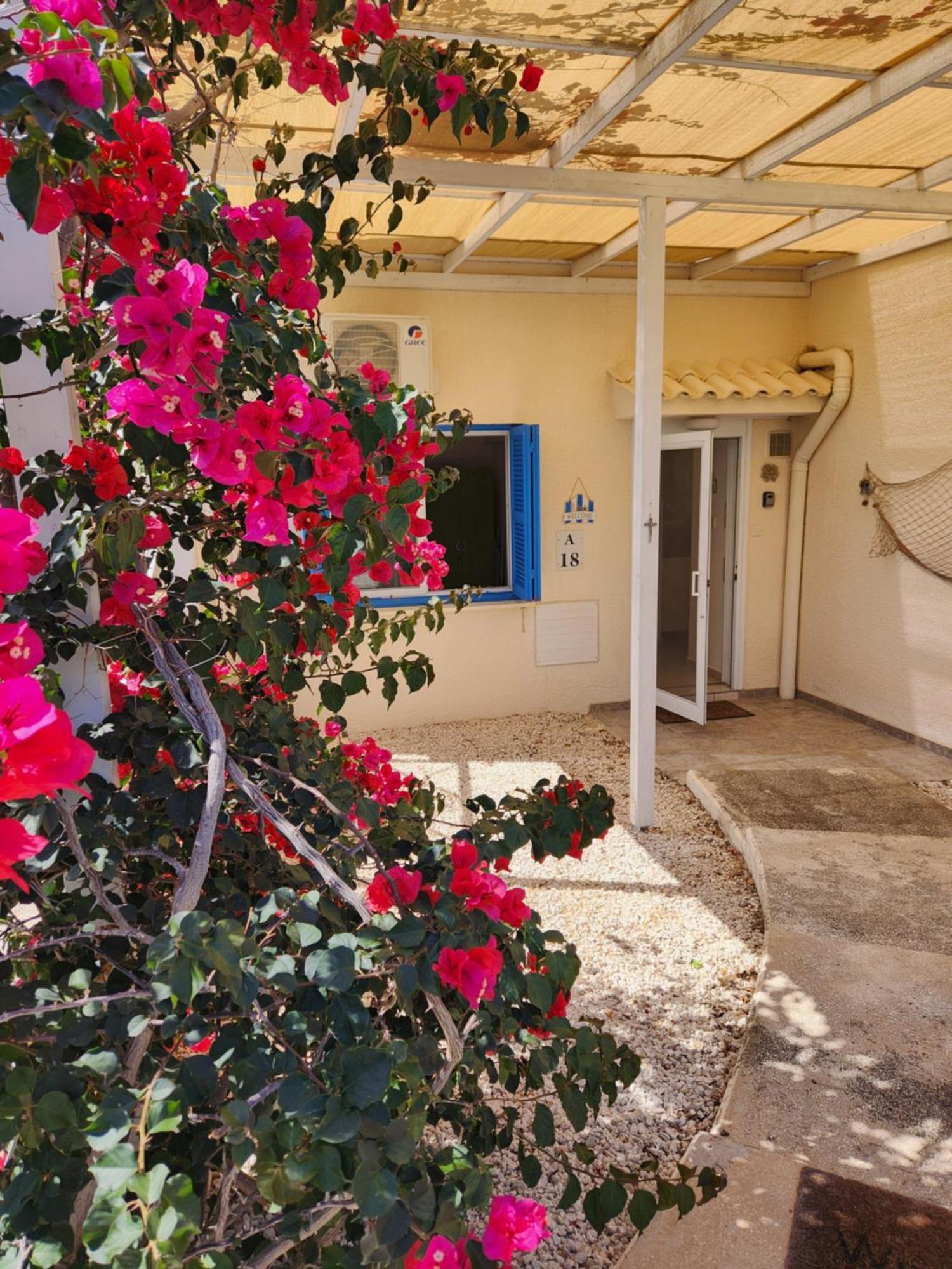 Ocean Pearl Apartamento