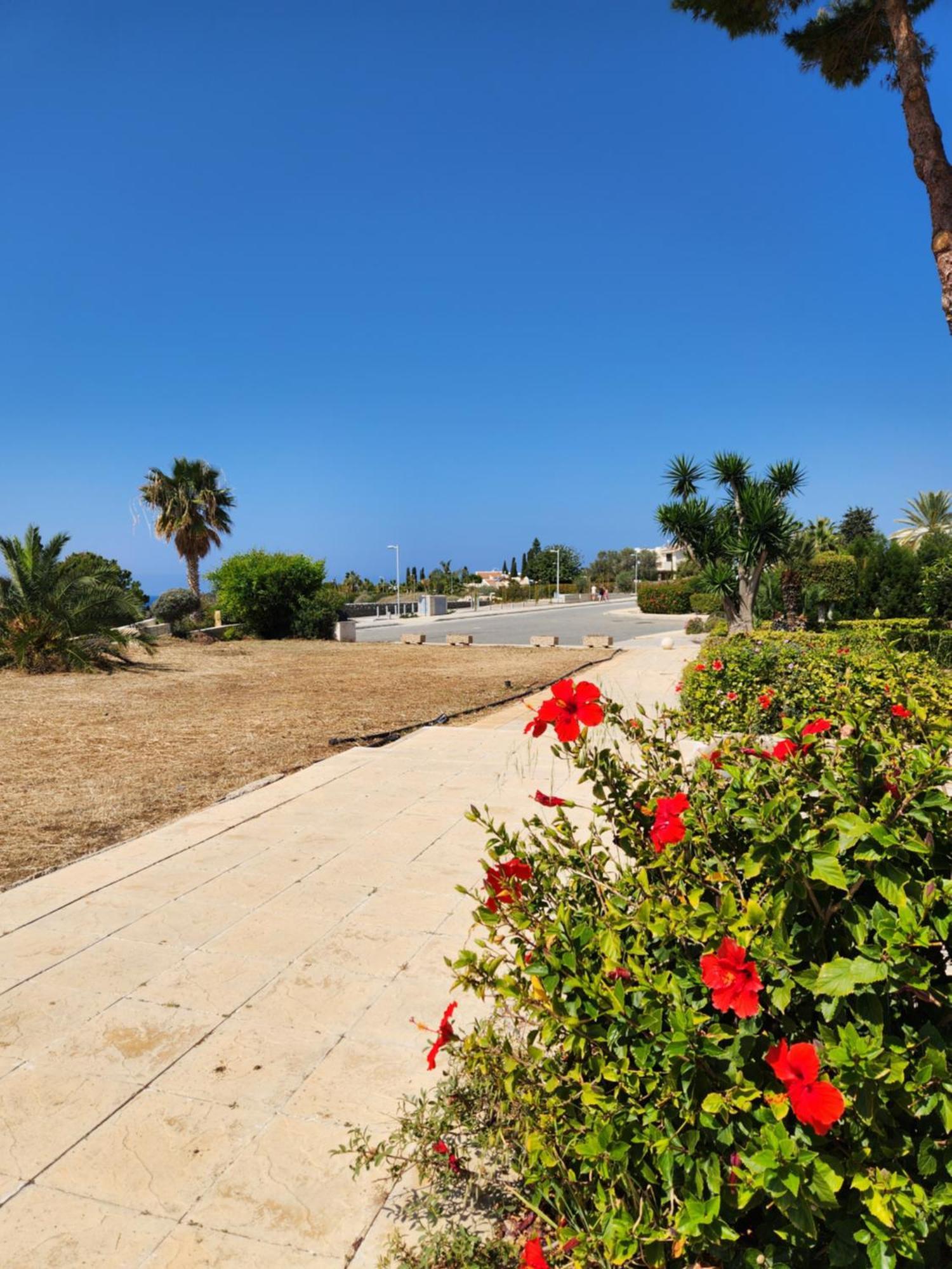 Ocean Pearl Apartment Peyia