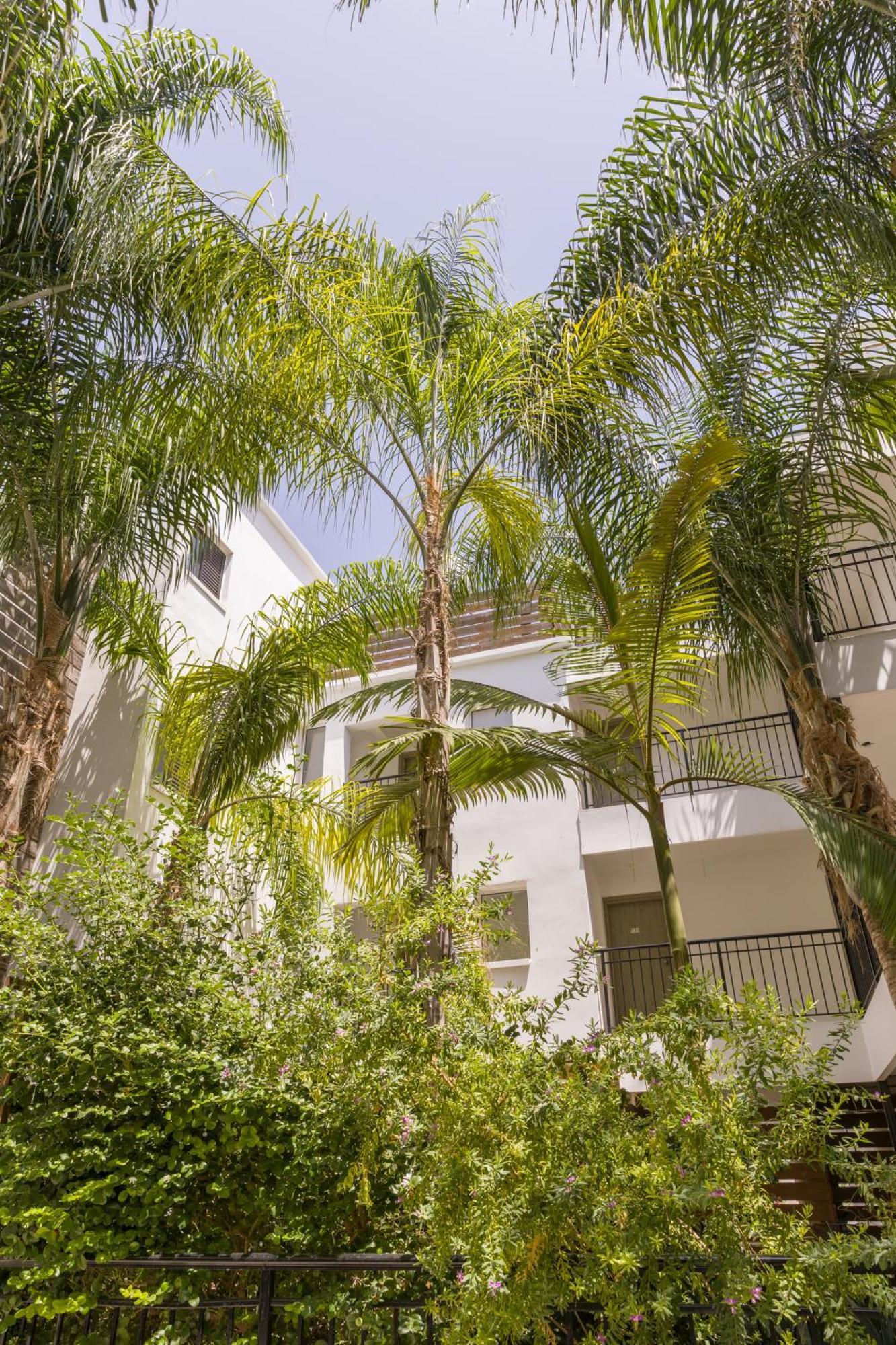 Aparthotel Alecos 3*