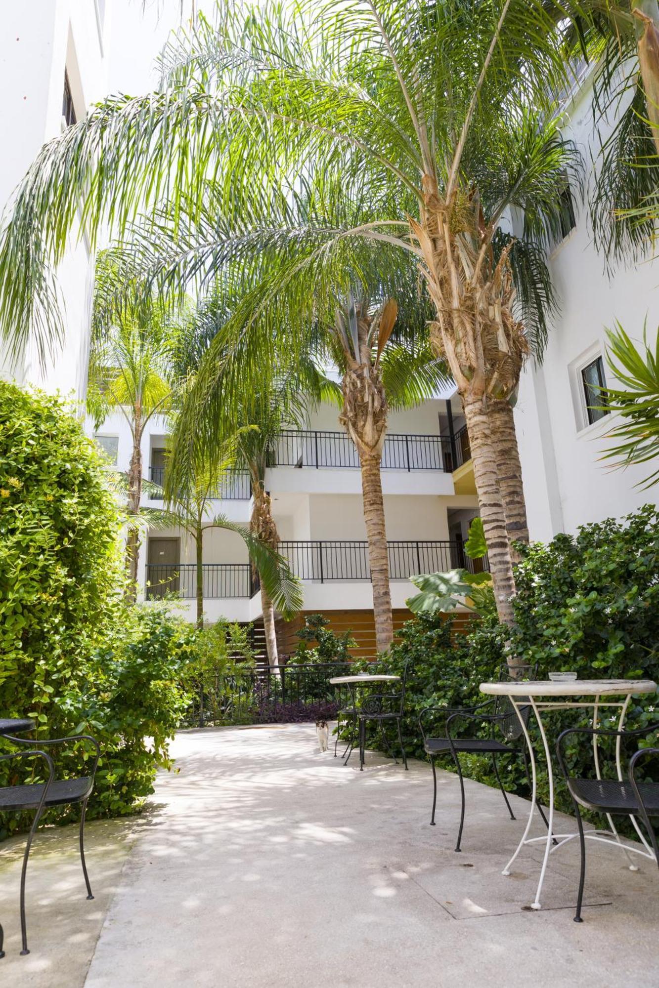Alecos Aparthotel Paphos