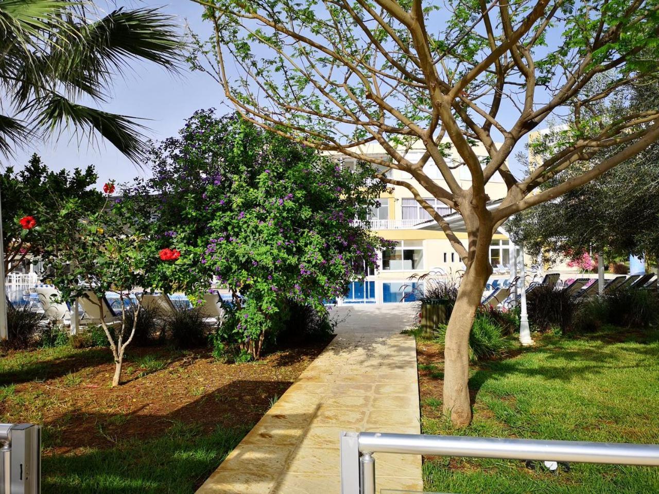 Cosy - Caesar & Spa Apartment Trikomo