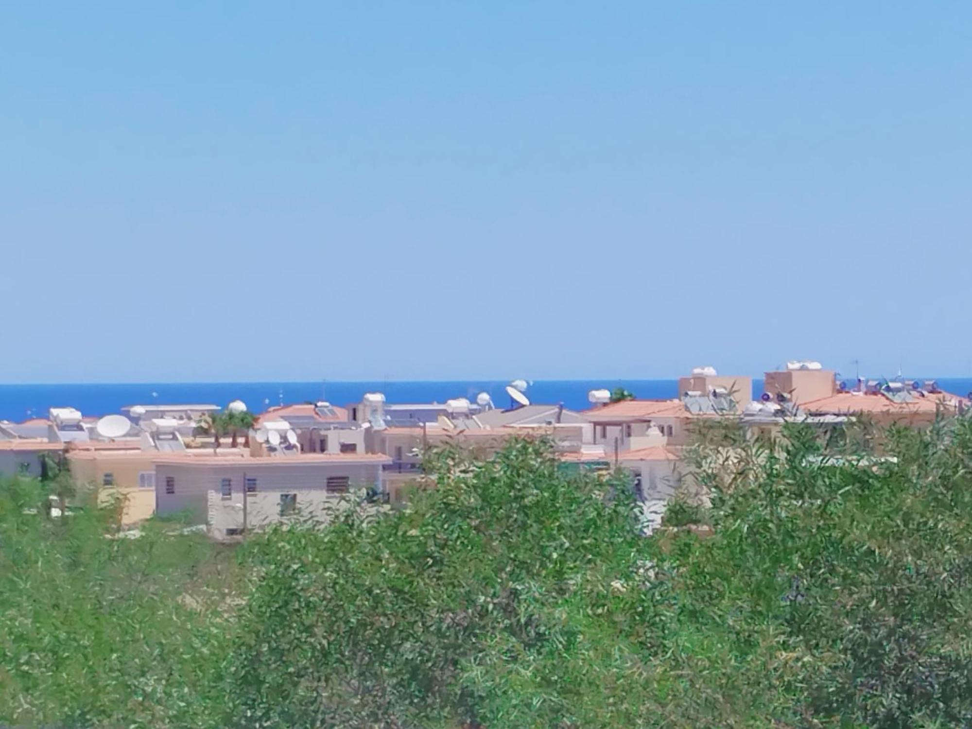 Pantelia * Paralimni