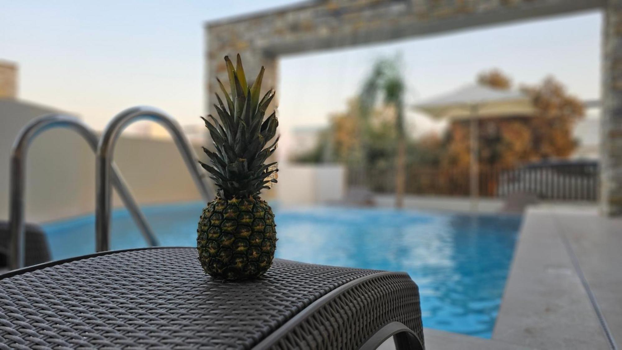 Villa Oasis Luxury
