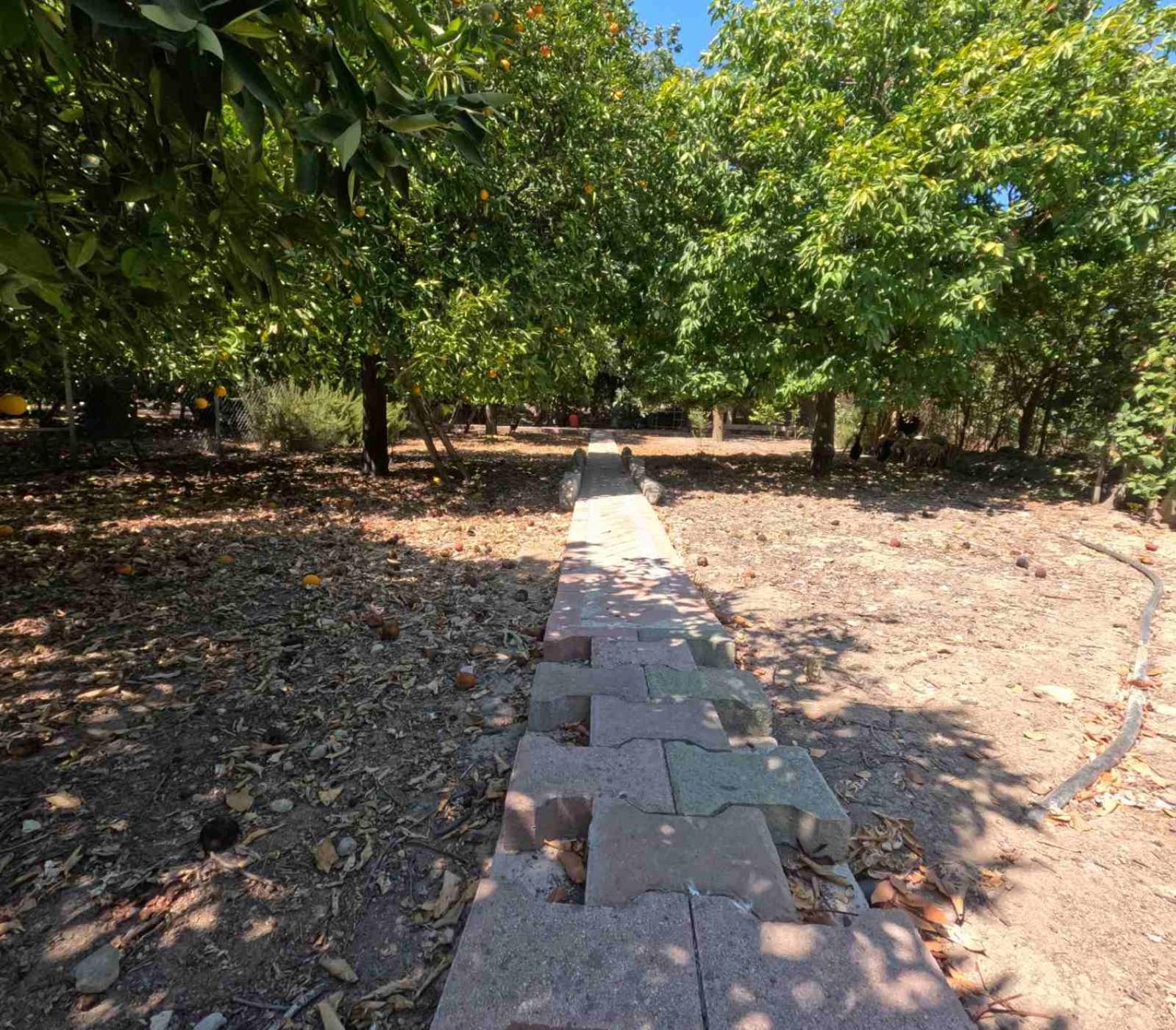 Valencia Grove Pousada