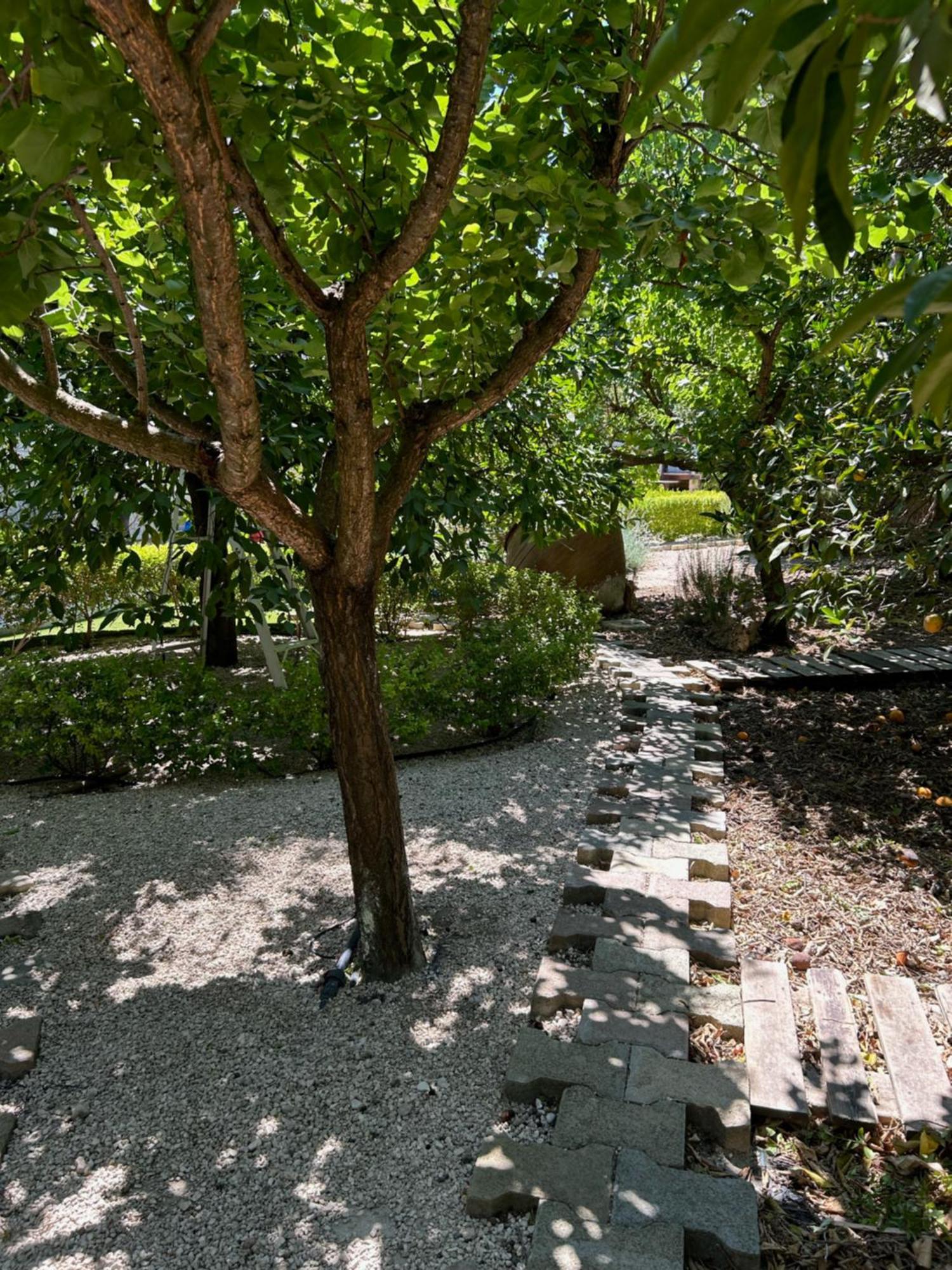 Villa Valencia Grove