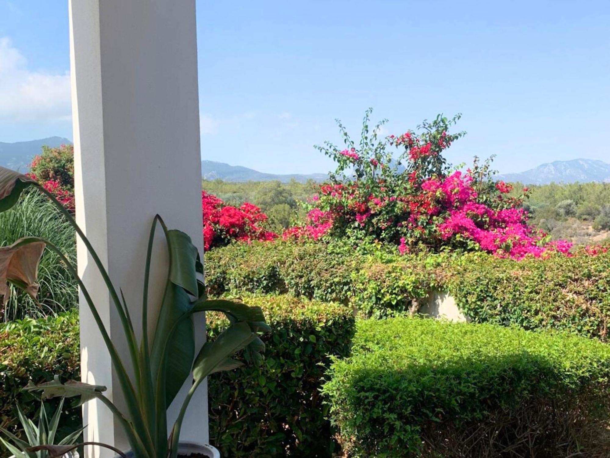 Highly Comfortable Family-friendly In Lovely Area