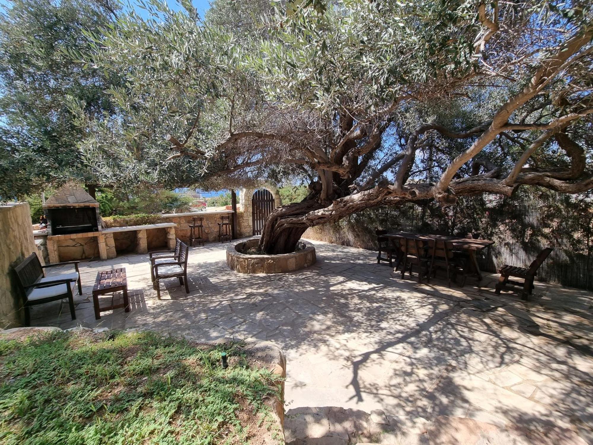 Olive Villa Peyia