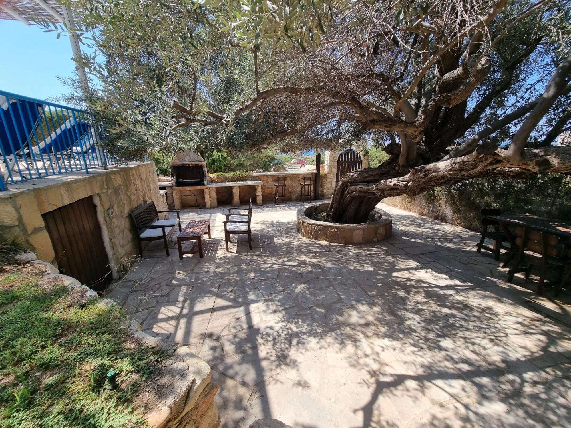 Villa Olive Peyia