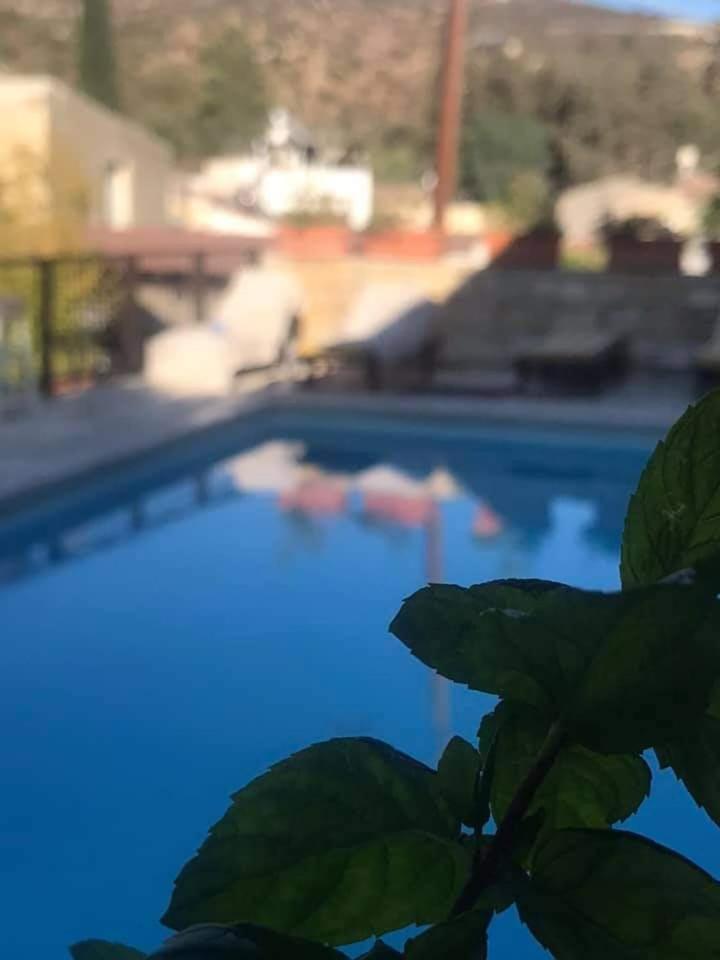Avalon Village 3*