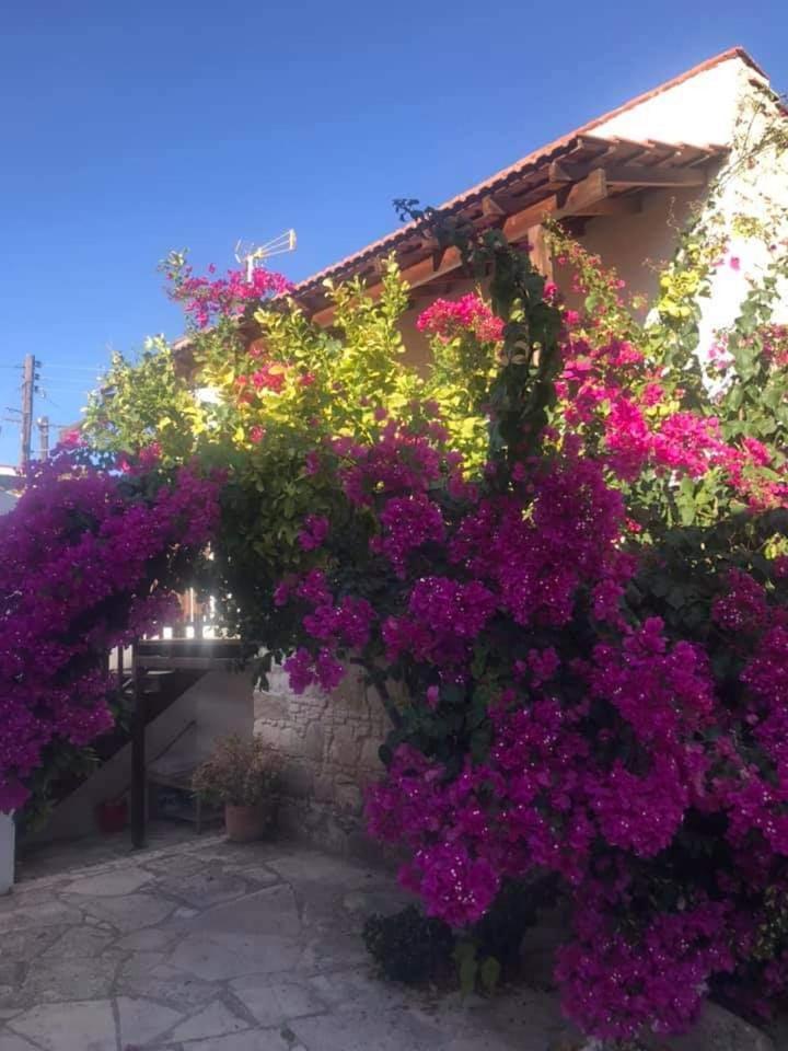 Pensão Avalon Village 3*