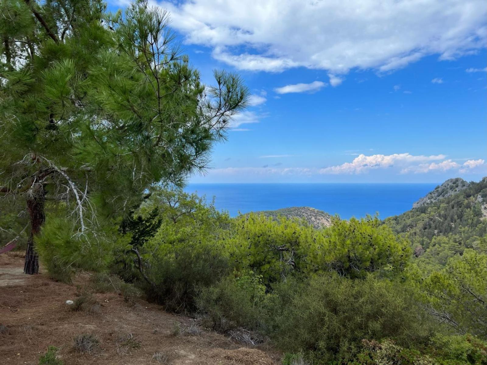Elegance C8 Rooftop Spa&gym Mountain&seeview * Agios Georgios (Girne)