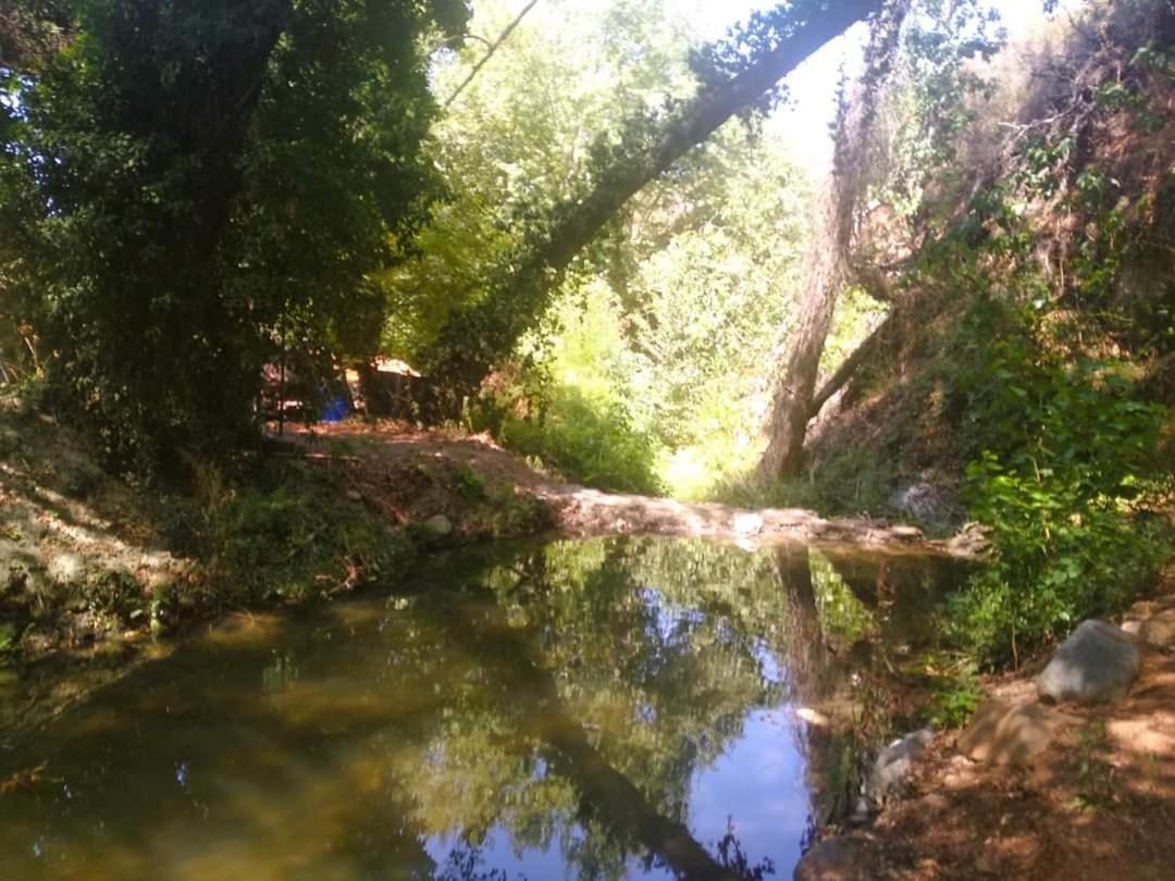 Pensão Avalon Village Limassol
