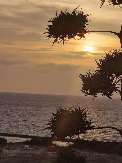 Venus 2 Bedrooms * Paphos