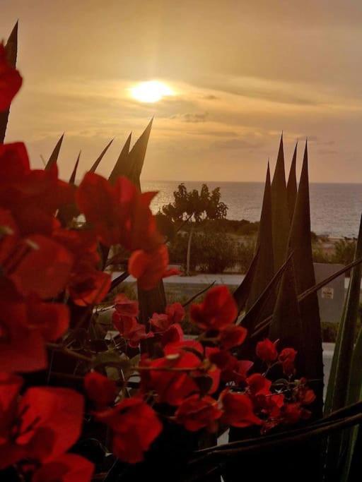Venus 2 Bedrooms Apartment Paphos