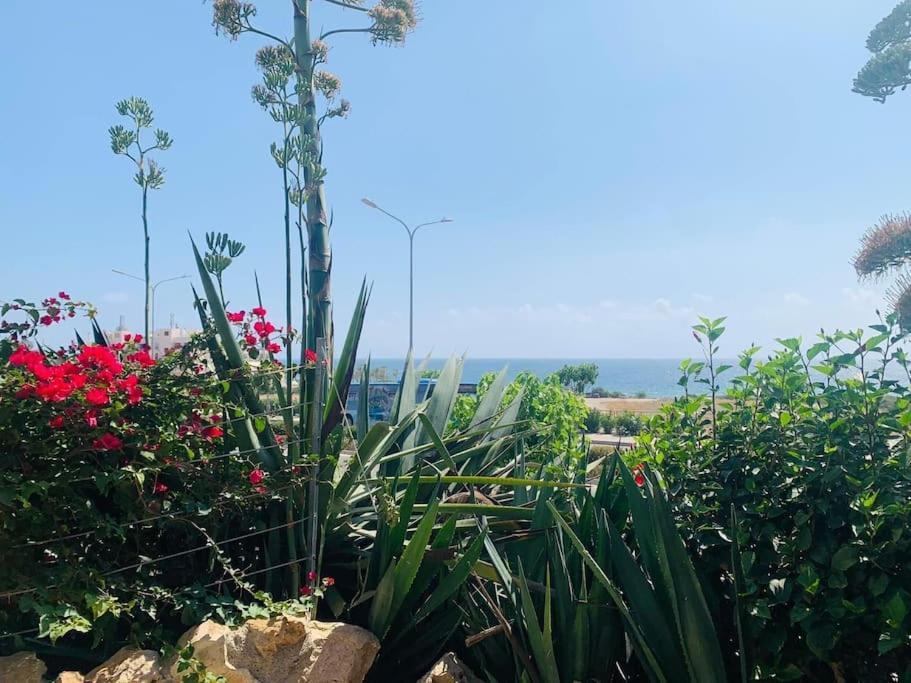 Venus 2 Bedrooms * Paphos