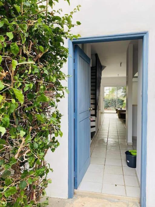 Venus 2 Bedrooms Apartment