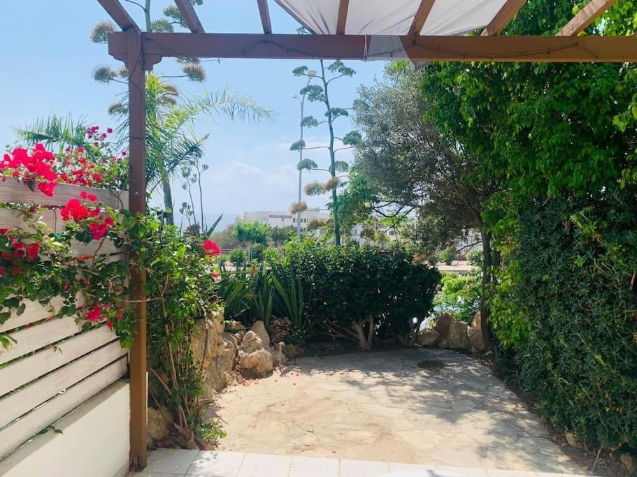 Apartment Venus 2 Bedrooms Paphos