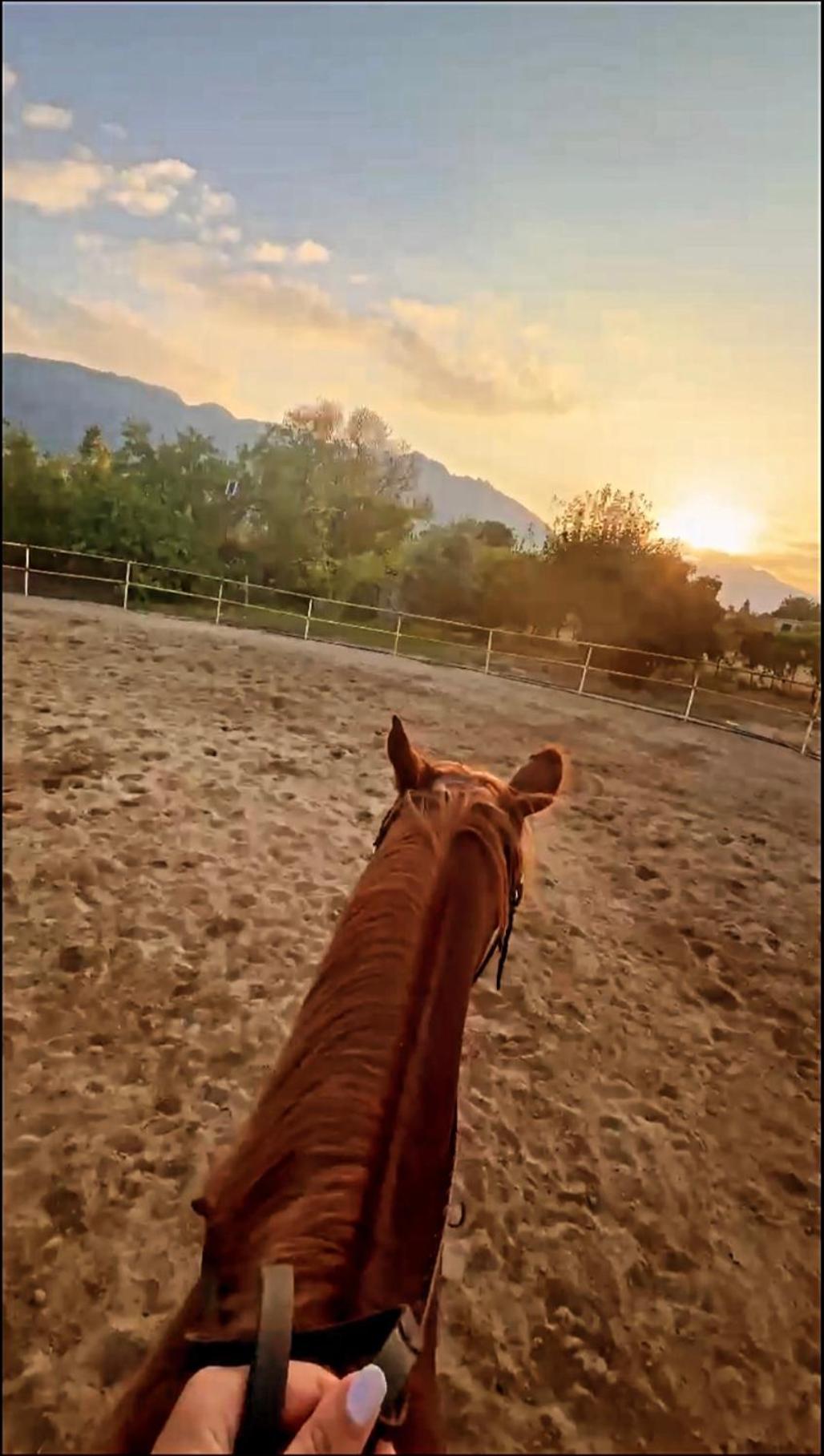 The Horse Farm Agios Georgios (Kyrenia)
