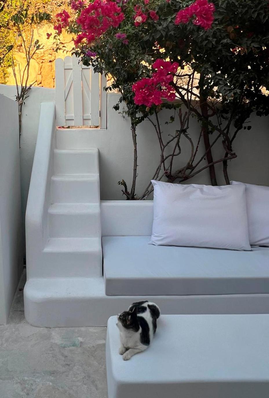 Apartment Sunset Deluxe And Paphos