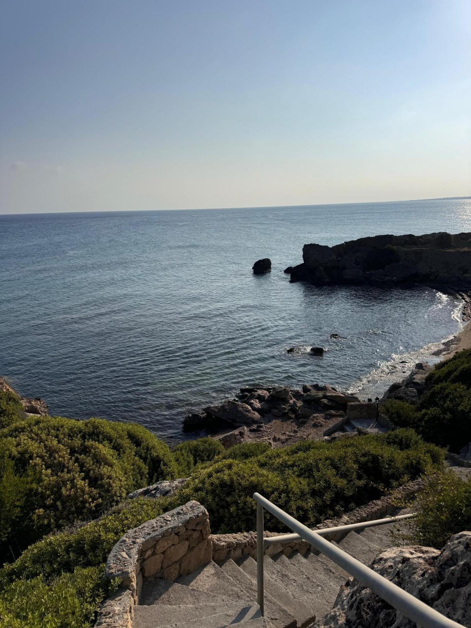 The Rocas Orga