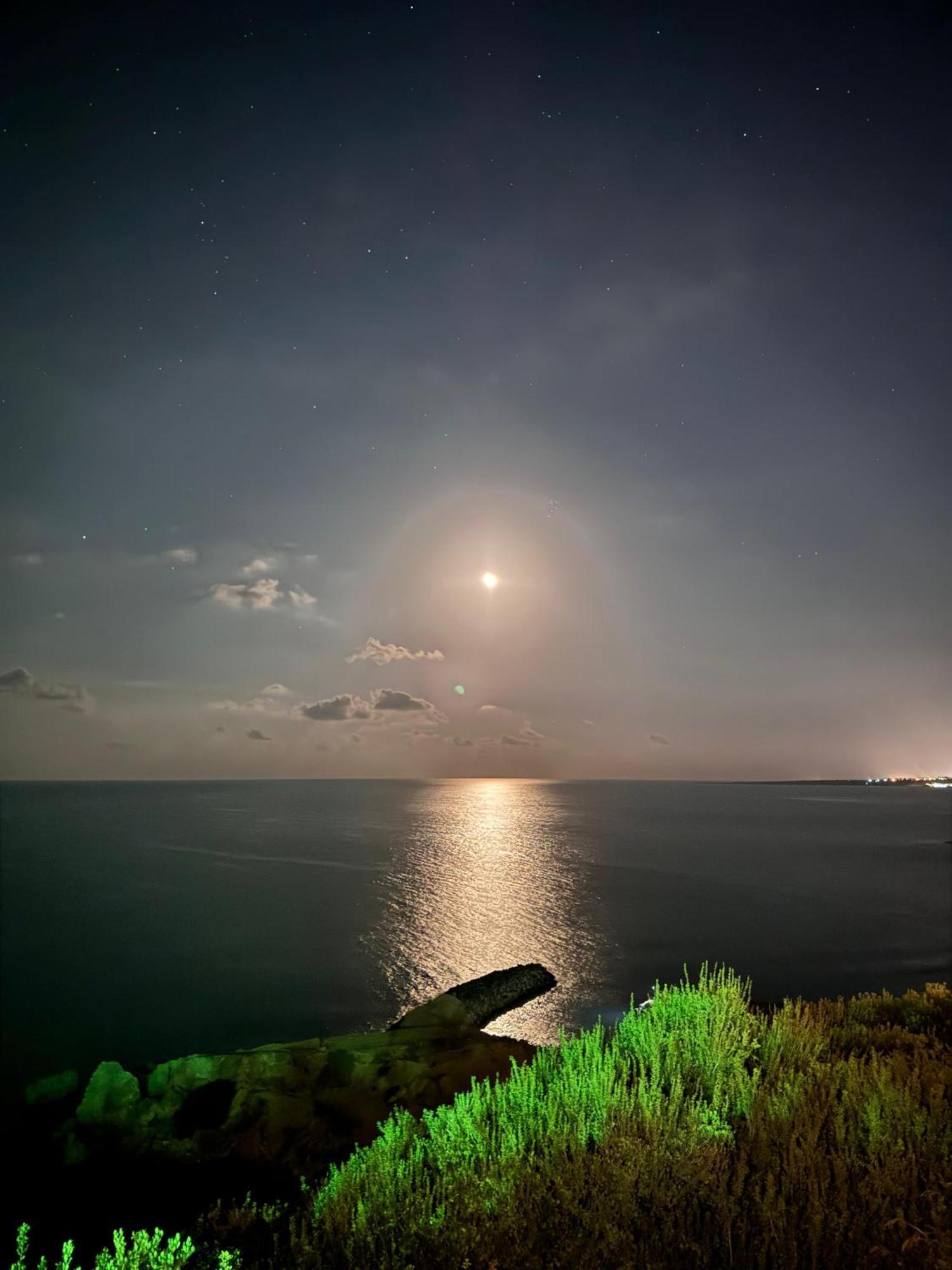 Hotel The Rocas Orga