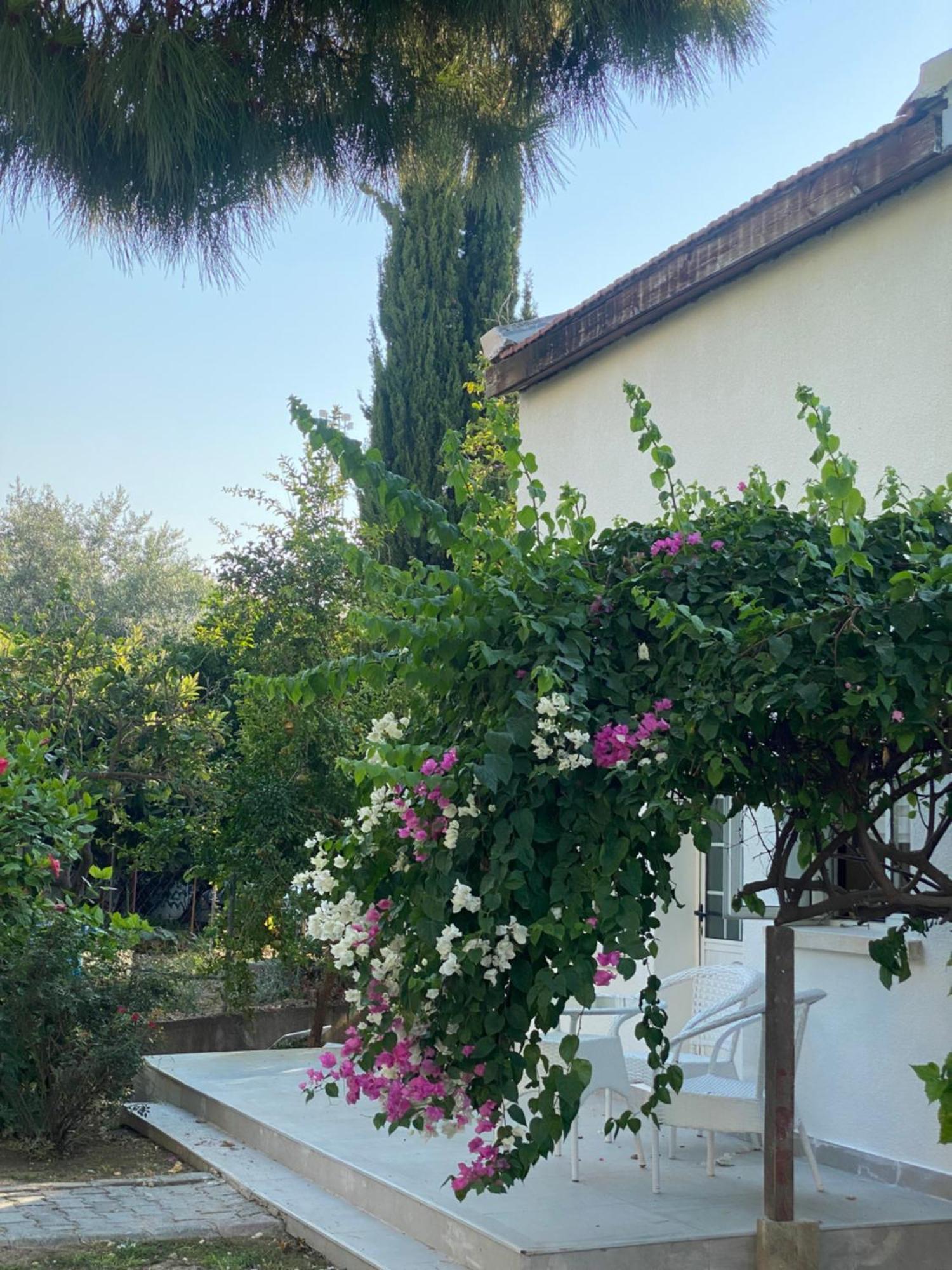 The & Hotel Agios Georgios (Kyrenia)