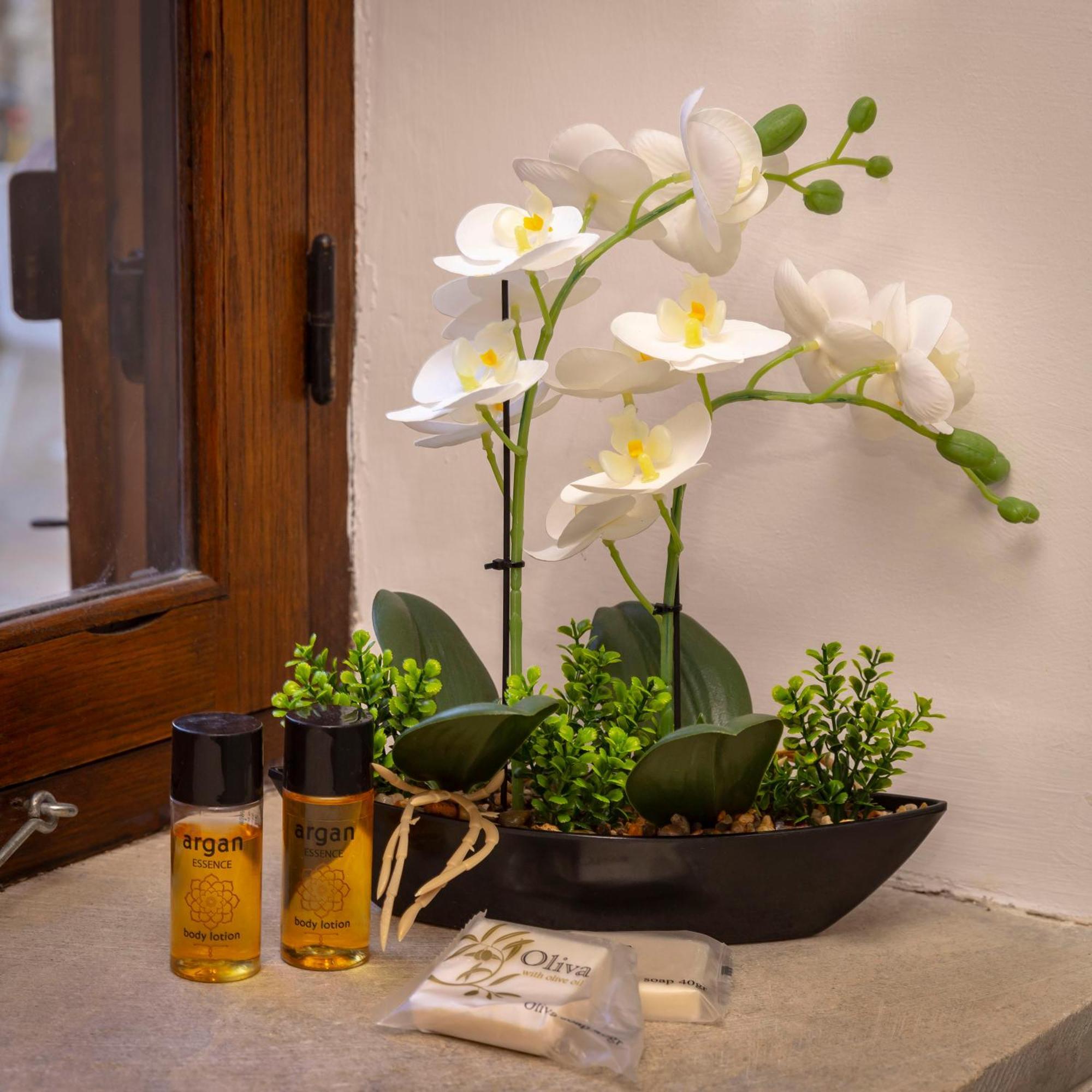 Kozakos Luxury House Apartment