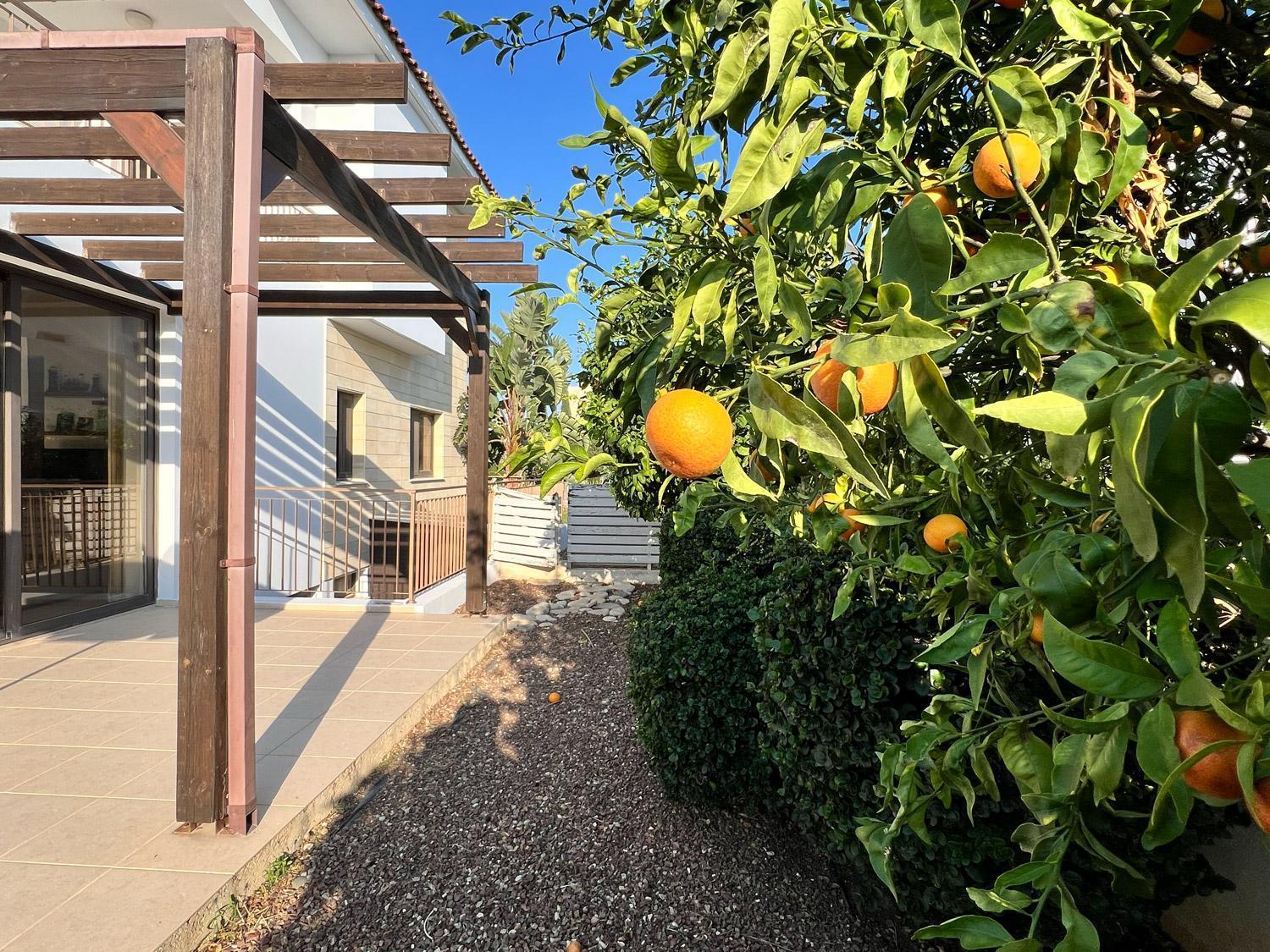 Villa Aris *