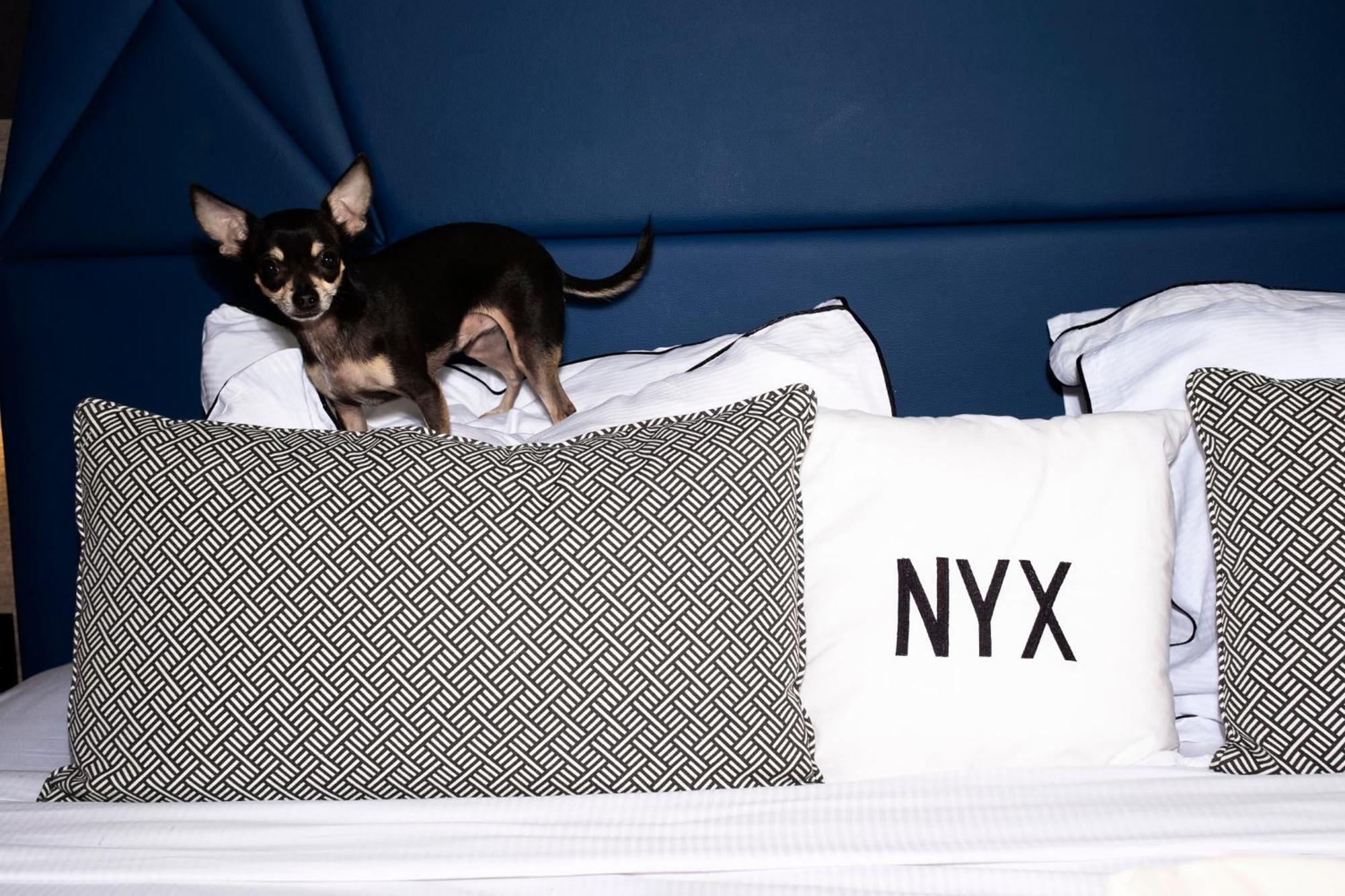 Hotel Nyx 4*