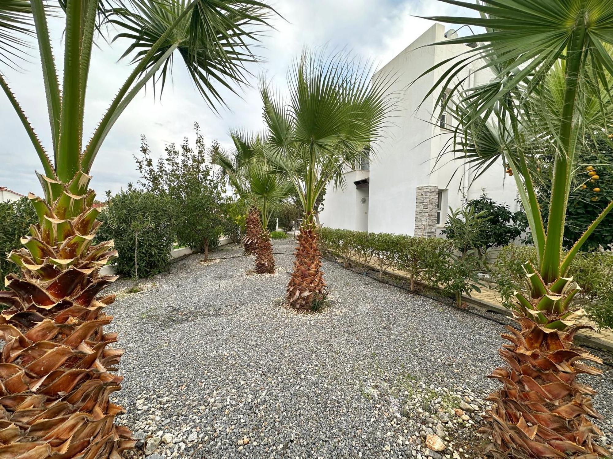 Villa Luxury Caesar Iskele District (Northern Cyprus)