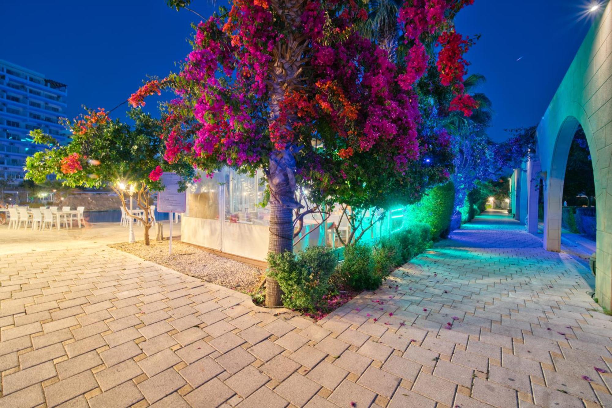 Apartment Garden View Two Bedroom In Caesar & Spa, Long Perivolia tou Trikomou