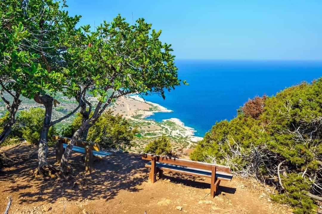 Holiday: Seafront Retreat With Pool In Paphos *