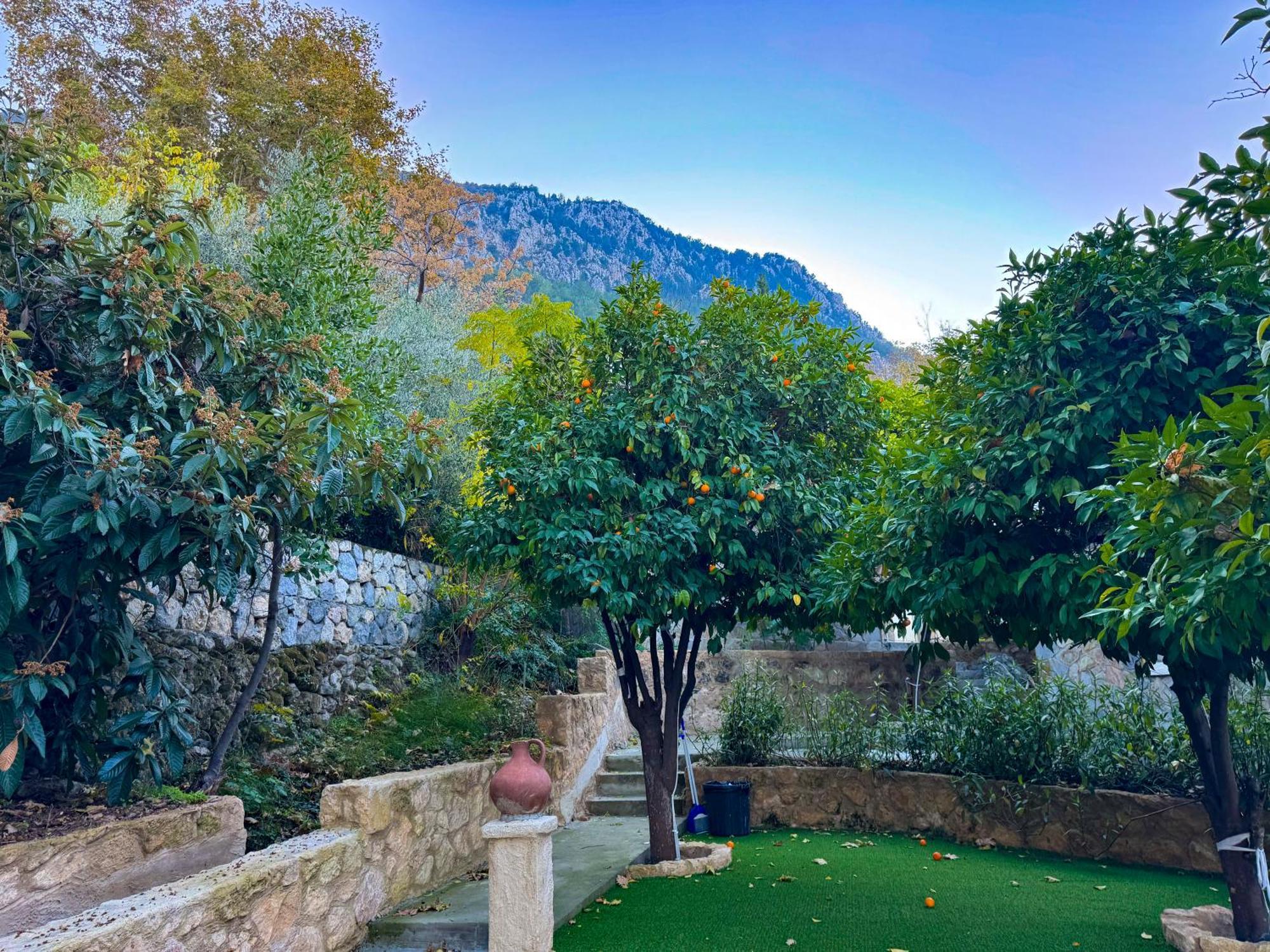 The Old Mill Lapithos (Northern Cyprus)
