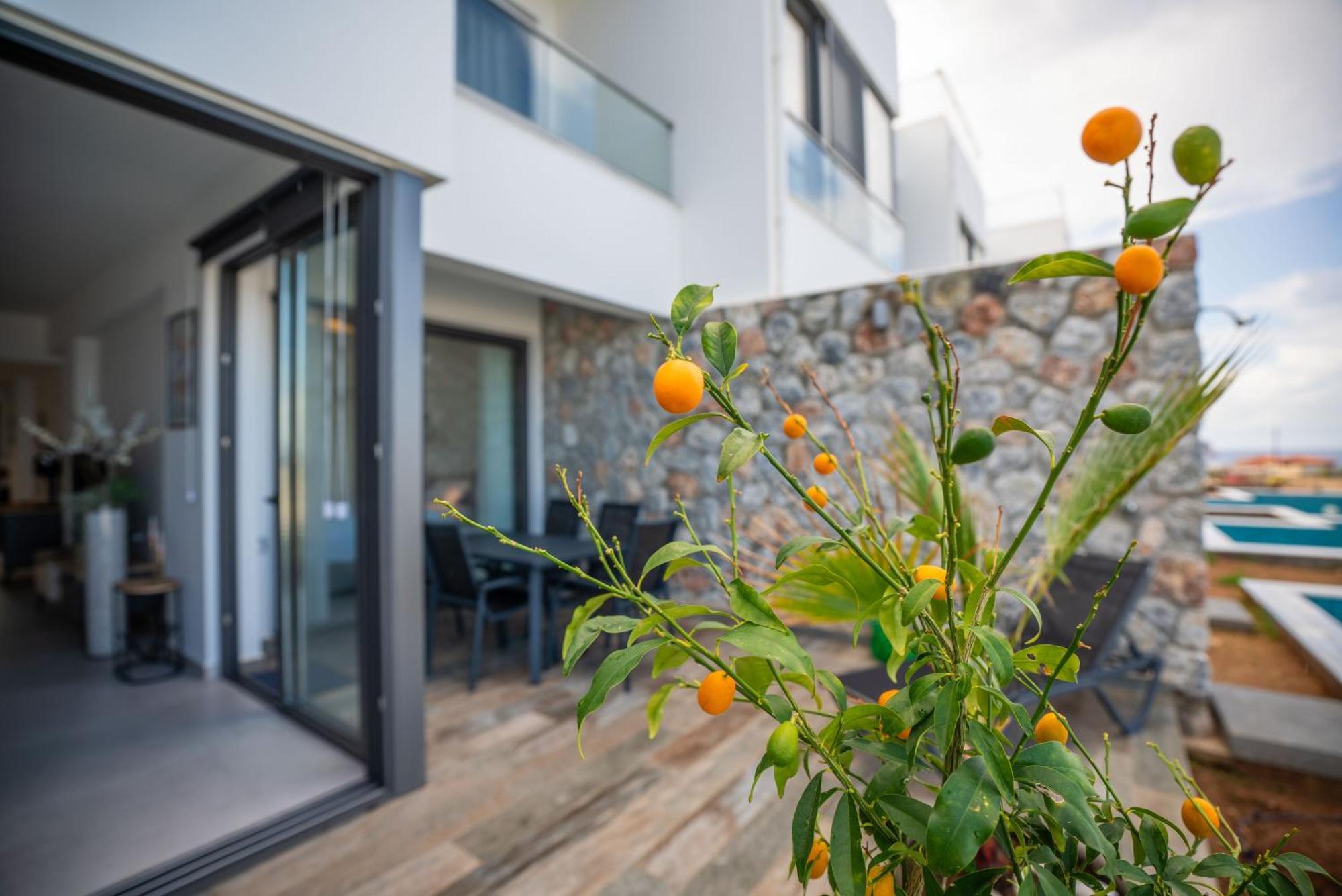 Apartment Oceanfront Oasis With Private Pool Stunning Views