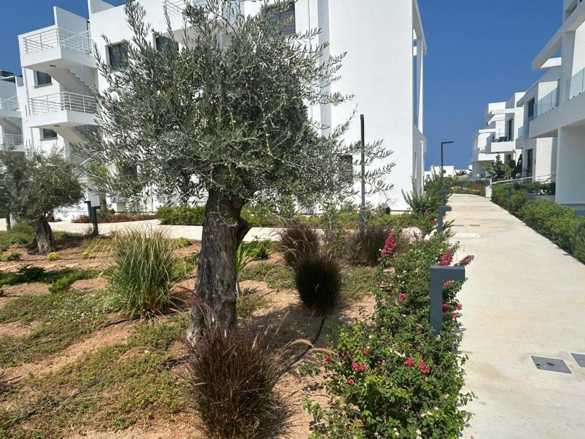 Boho Seaside In Cove Garden Kyrenia (Northern Cyprus)